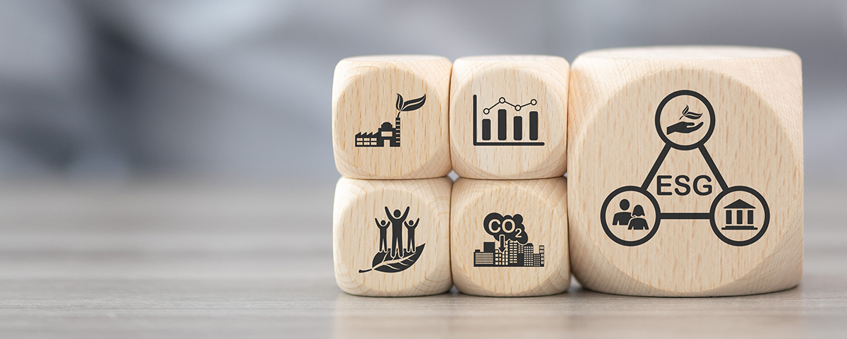 wooden dice with ESG logos