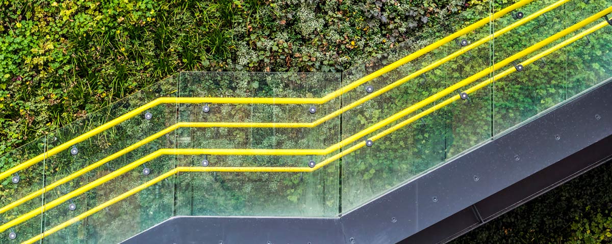Plants on stairs