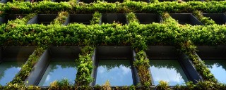 eco office building with plants 