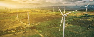 wind farm at sunrise