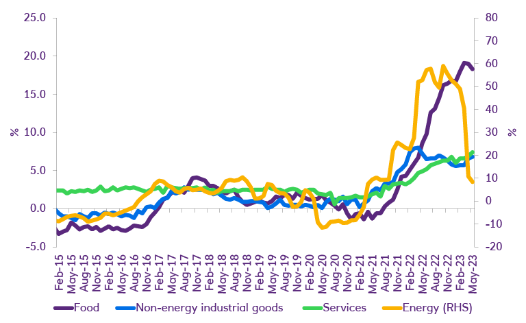 Energy and food prices falling but core inflation proving persistent: inflation (% year-on-year)